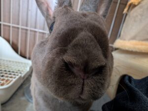 配送事故の話と、怒るということについて。