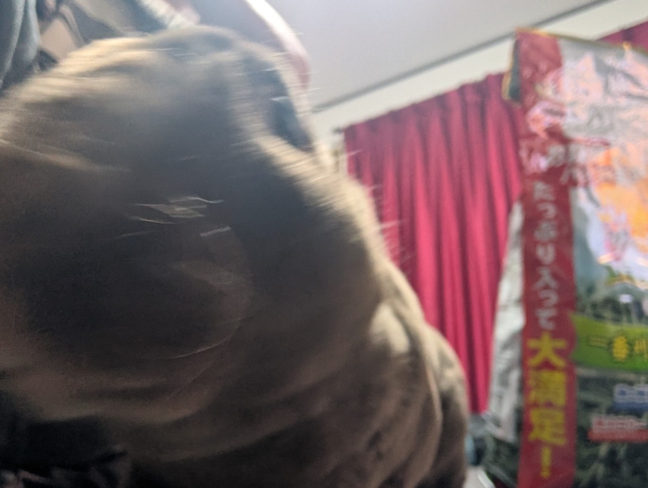ウサギ達の誕生日(*’ω’*)